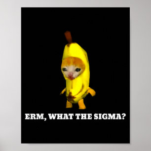 Erm, What Sigma_ Cat Meme Men Women Girls Kids Poster