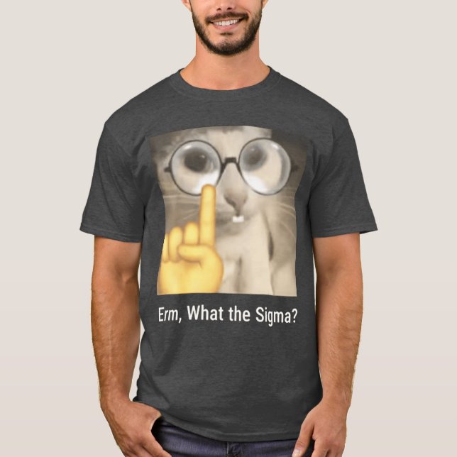 Erm Whathe Sigma Cat Meme Funny funny T-Shirt (Front)
