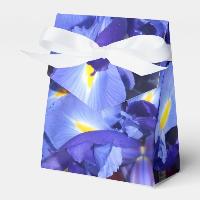 Ermengarde Favour Box (Front Side)
