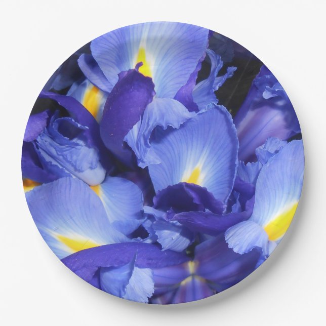 Ermengarde Paper Plate (Front)