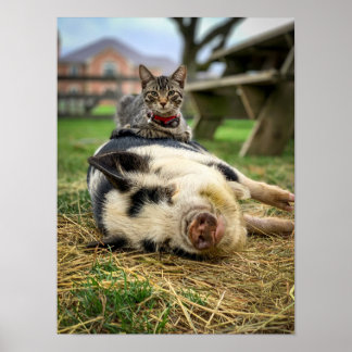 Ernest & Sassy Print! Poster