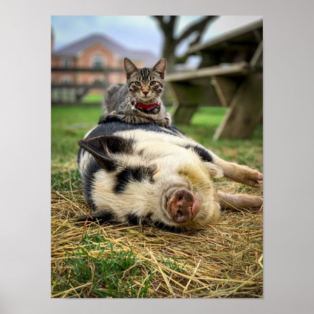 Ernest & Sassy Print! Poster (Front)