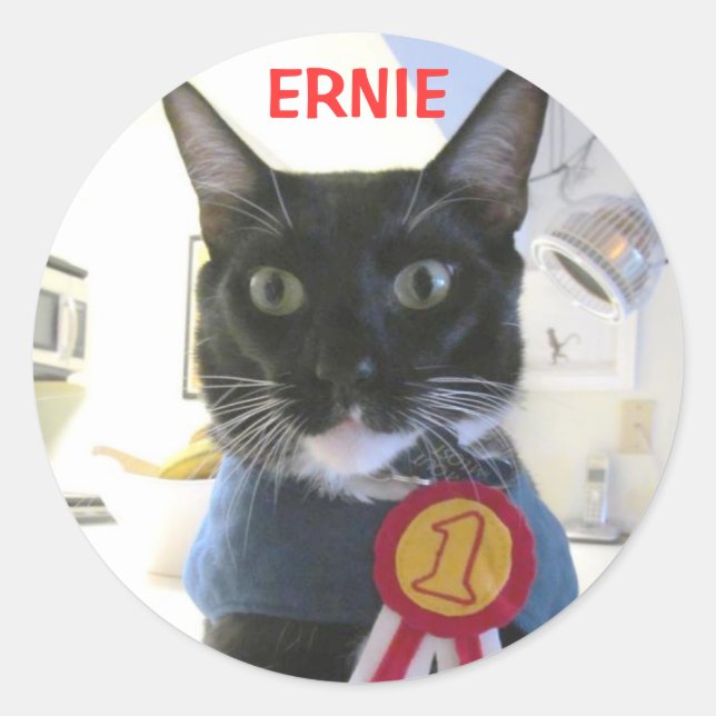 ERNIE STICKER (Front)