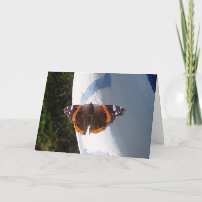 "Ernie the Butterfly" Easter Card (Front)