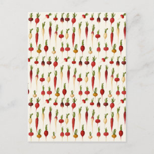 Ernst Benary’s Radish Varieties Postcard