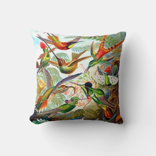 Ernst Haeckel 1904 Hummingbird Print on Pillow (Front)