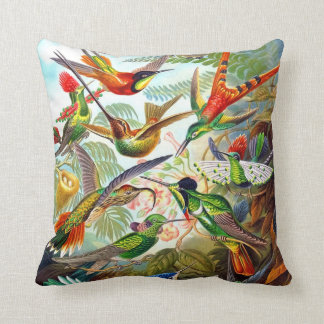 Ernst Haeckel 1904 Hummingbird Print on Pillow