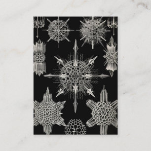 Ernst Haeckel   Acanthophracta Business Card