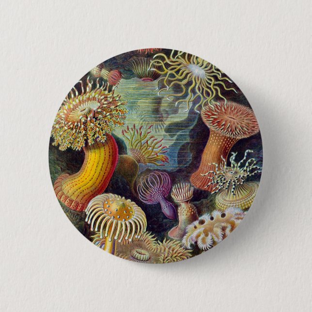 Ernst Haeckel - Actiniae 6 Cm Round Badge (Front)
