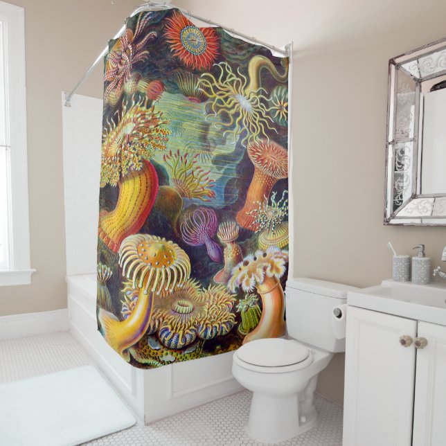 Ernst Haeckel Art Print:Actiniae Shower Curtain (In Situ)
