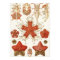 Ernst Haeckel Art Print: Asteridea