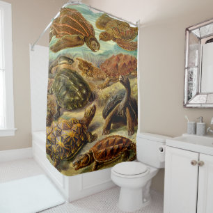Ernst Haeckel Art Print:Chelonia Shower Curtain