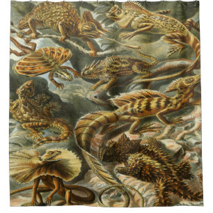 Ernst Haeckel Art Print:Lacertilia Shower Curtain