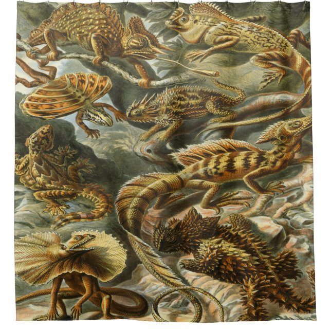 Ernst Haeckel Art Print:Lacertilia Shower Curtain (Front)