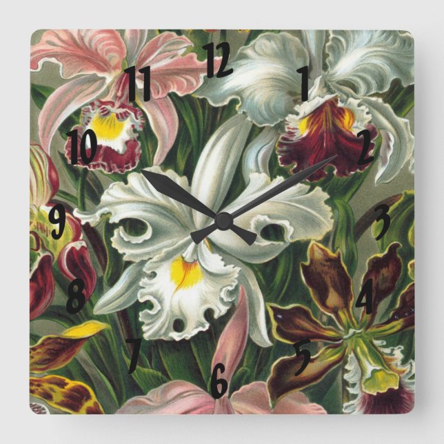 Ernst Haeckel Art Print:Orchidae Oncidiums, tulips Square Wall Clock (Front)