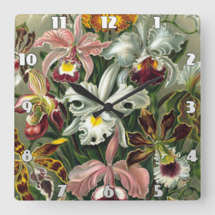 Ernst Haeckel Art Print:Orchidae Oncidiums, tulips Square Wall Clock