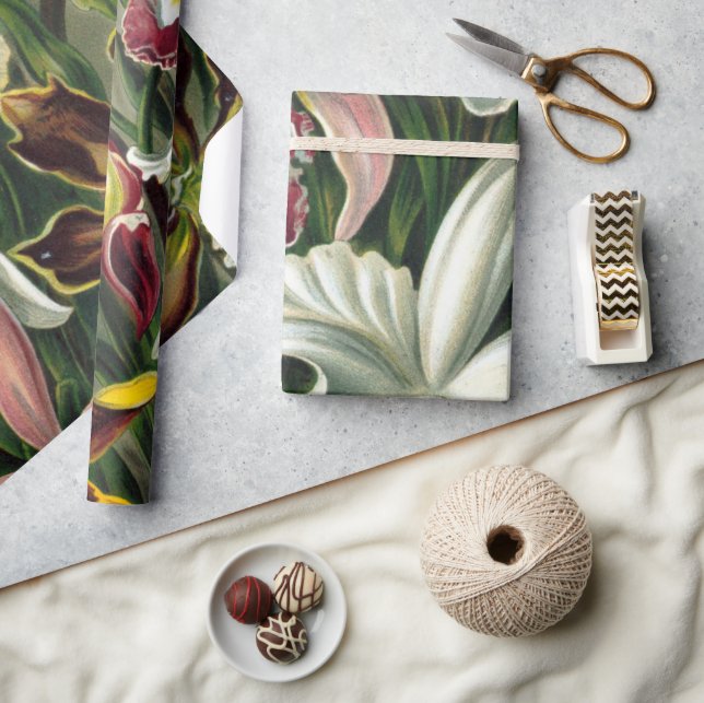 Ernst Haeckel Art Print:Orchidae Oncidiums, tulips Wrapping Paper (Crafts)