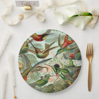 Ernst Haeckel Art Print: Trochilidae Paper Plate