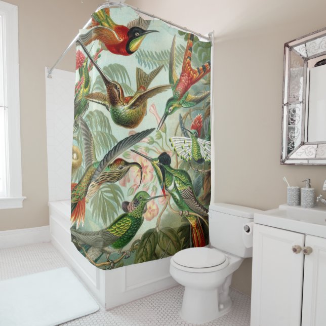 Ernst Haeckel Art Print: Trochilidae Shower Curtain (In Situ)