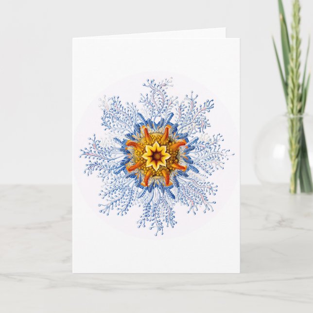 Ernst Haeckel Artforms Of Nature Greeting Card (Front)