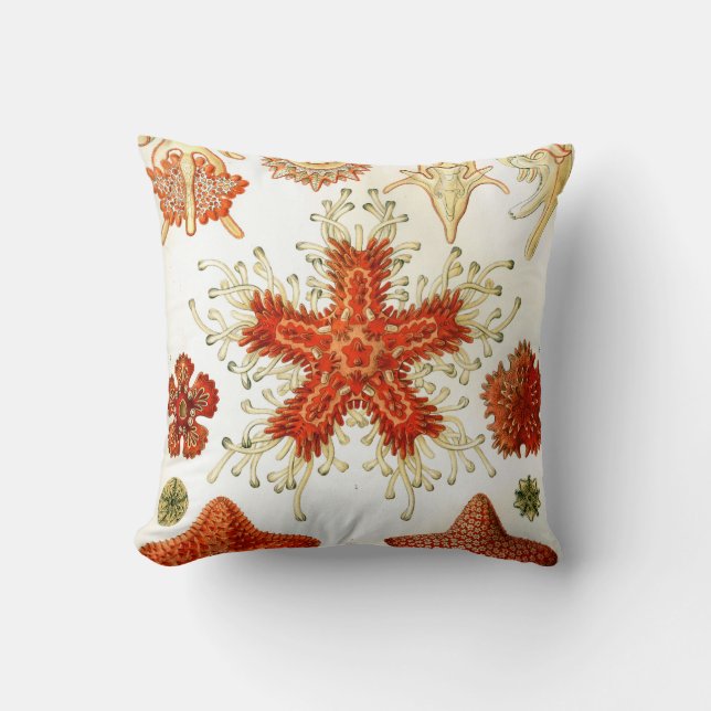 ernst haeckel artwork cushion (Front)