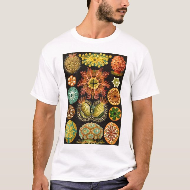 Ernst Haeckel - Ascidiae T-Shirt (Front)