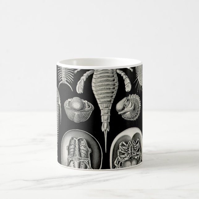 Ernst Haeckel Aspidonia Coffee Mug (Center)