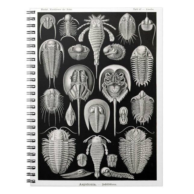 Ernst Haeckel Aspidonia Notebook (Front)