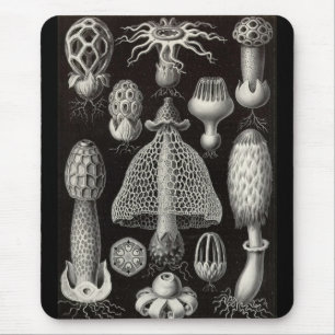 Ernst Haeckel - Basimycetes Mushrooms Mouse Pad