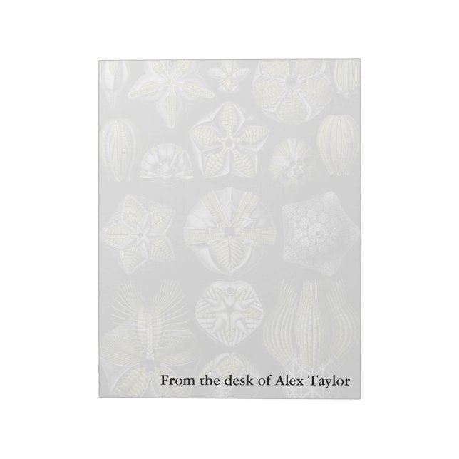 Ernst Haeckel Blastoidea Notepad (Rotated)