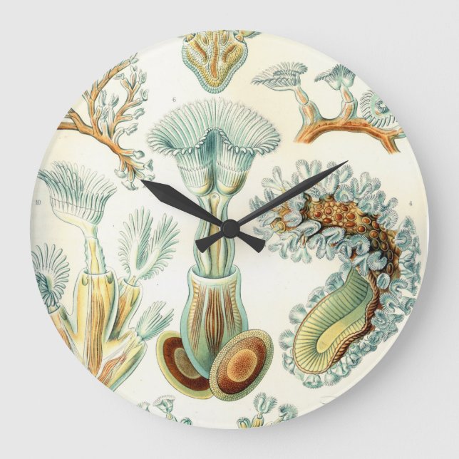 Ernst Haeckel Bryozoa invertebrates Large Clock (Front)