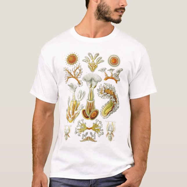 Ernst Haeckel - Bryozoa Tshirt (Front)