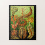Ernst Haeckel Chaetopoda Jigsaw Puzzle<br><div class="desc">The 96th Plate from Ernst Haeckel's Kunstformen der Natur of 1904. This print features segmented worms.</div>