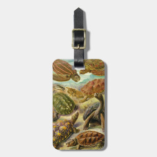 Ernst Haeckel Chelonia Luggage Tag