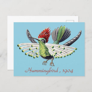 Ernst Haeckel Colorful Vintage Hummingbird Bird Postcard