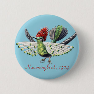 Ernst Haeckel Colourful Hummingbird Nature Art 6 Cm Round Badge
