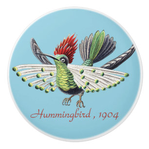 Ernst Haeckel Colourful Hummingbird Nature Art Ceramic Knob