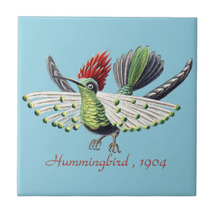 Ernst Haeckel Colourful Hummingbird Nature Art Ceramic Tile