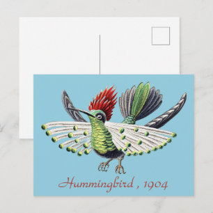 Ernst Haeckel Colourful Hummingbird Nature Art Postcard
