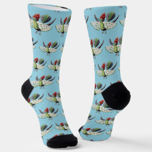 Ernst Haeckel Colourful Hummingbird Nature Art Socks