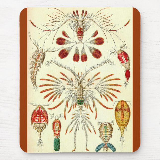 Ernst Haeckel - Copepoda Mouse Pad (Front)