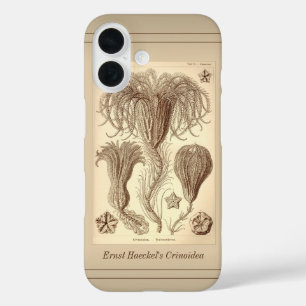 Ernst Haeckel Crinoids- Full Page iPhone 16 Case