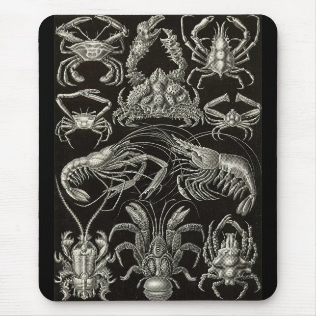 Ernst Haeckel - Decapoda Mouse Pad (Front)