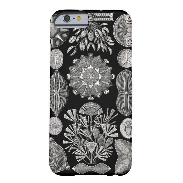 Ernst Haeckel  Diatomea Case-Mate iPhone Case (Back)