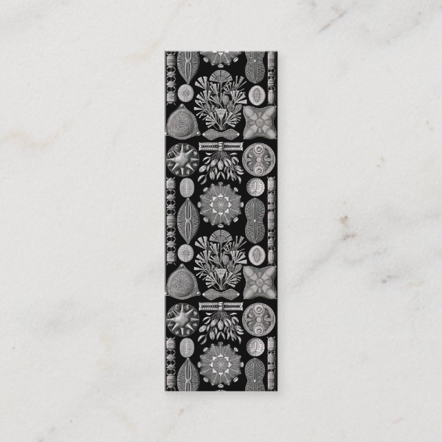 Ernst Haeckel  Diatomea Mini Business Card (Front)