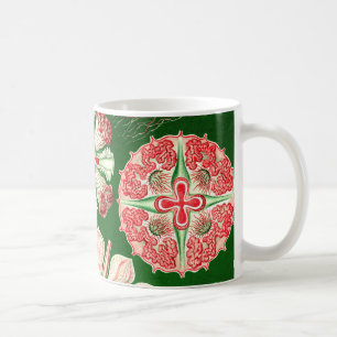 Ernst Haeckel Discomedusae (Aurelia) Coffee Mug