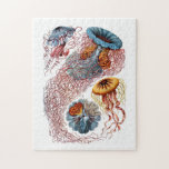 Ernst Haeckel Discomedusae Jigsaw Puzzle<br><div class="desc">The 8th Plate from Ernst Haeckel's Kunstformen der Natur of 1904. This print features various jelly fish.</div>