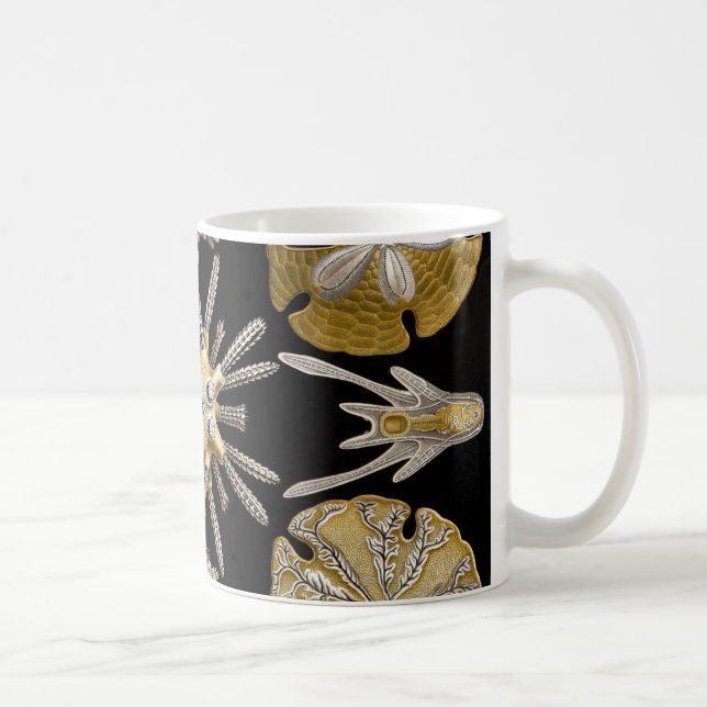 Ernst Haeckel Echinidea Sea Urchins Coffee Mug (Right)