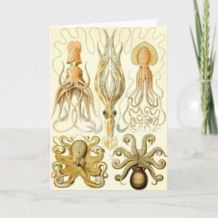 Ernst Haeckel - Gamochonia Card