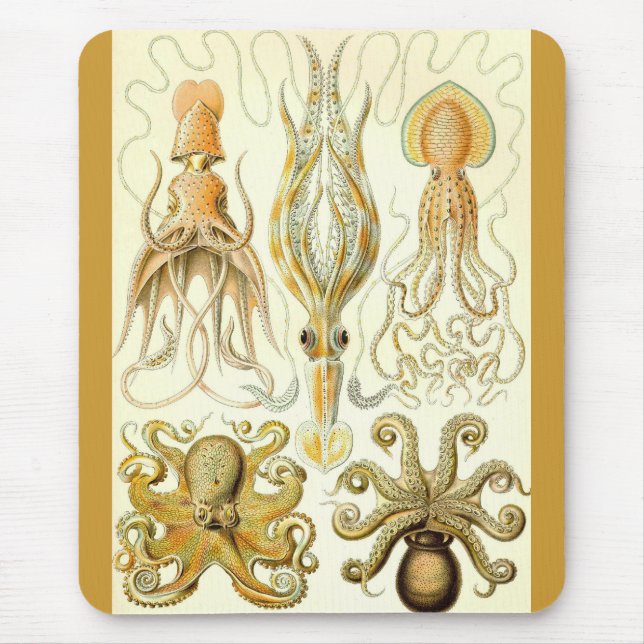 Ernst Haeckel - Gamochonia Mouse Pad (Front)